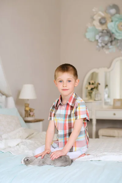 Junge Sitzt Auf Bett Hellen Zimmer Und Streichelt Flauschiges Graues — Stockfoto