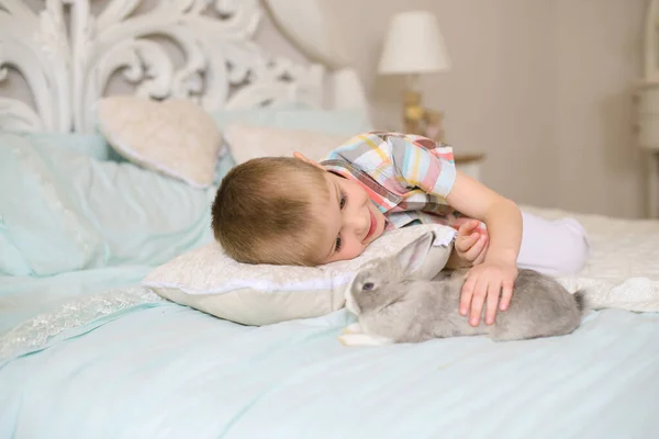 Boy Lies Bed Bright Room Strokes Fluffy Gray Rabbit — Stock Photo, Image