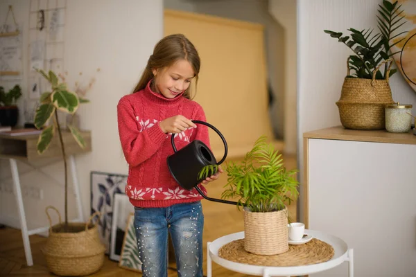 Chica Que Cuida Las Plantas Domésticas Habitación Riego Cuarentena Casa —  Fotos de Stock