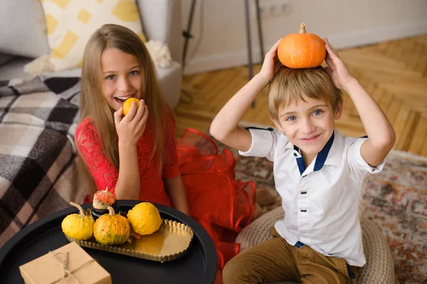Brother and sister sitting in room on carpet on wooden floor, play with decorative pumpkins