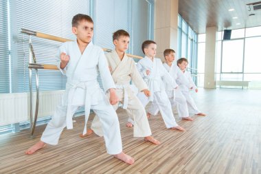 genç, güzel, başarılı çok etik çocuklar karate pozisyonda