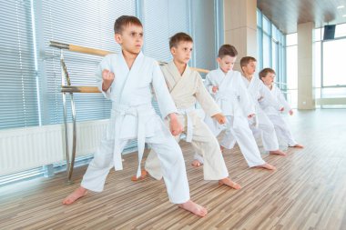 genç, güzel, başarılı çok etik çocuklar karate pozisyonda