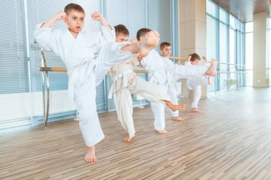 genç, güzel, başarılı çok etik çocuklar karate pozisyonda