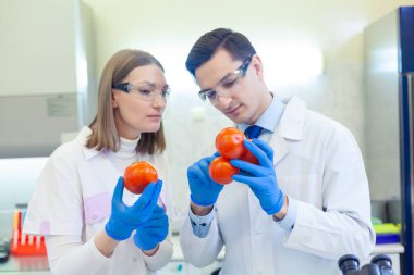 Meyve ve sebzeleri inceleyen ve böcek ilacı ve nitrat analizi yapan laboratuvar çalışanları..