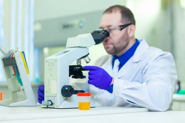 Trabajador de laboratorio que realiza análisis de orina utilizando microscopio y equipo de laboratorio en un laboratorio médico —  Fotos de Stock