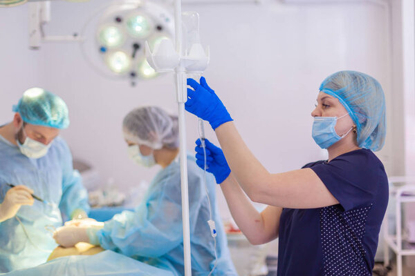 Hospital. Surgeon operates in the operating room. The nurse checks the medicine in the dropper during the surgery