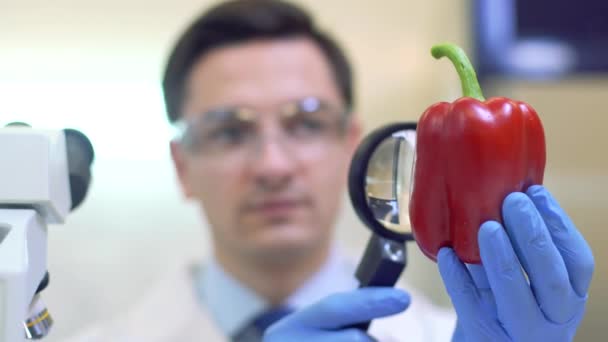 Trabalhadores de laboratório que examinam frutas e produtos hortícolas e que analisam pesticidas e nitratos. — Vídeo de Stock