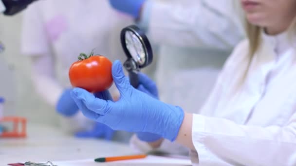 Лабораторные работники изучают фрукты и овощи и проводят анализ на пестициды и нитраты. — стоковое видео