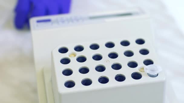 Laboratory worker puts samples into a tray making analysis for immunity viruses in a medical laboratory — Stock Video