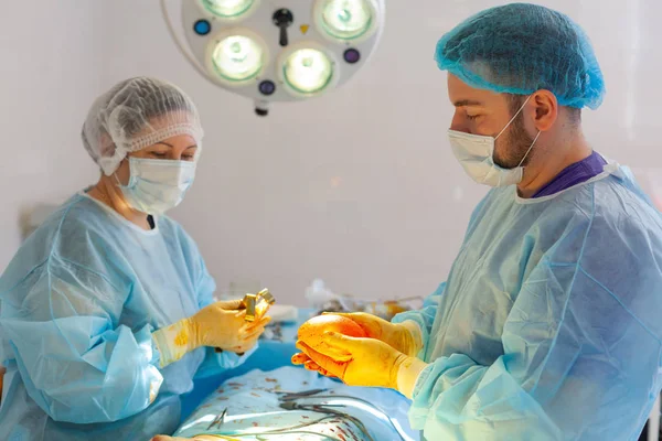 Krankenhaus. Chirurg operiert im Operationssaal. Arzt und Krankenschwester desinfizieren das Implantat, bevor sie es während der Brustvergrößerung einsetzen. — Stockfoto