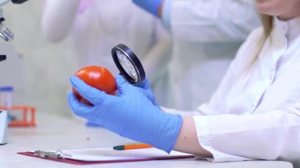 실험실에서 일하는 사람들이 과일과 채소를 조사하고 살충제와 질산염을 분석 한다. — 비디오