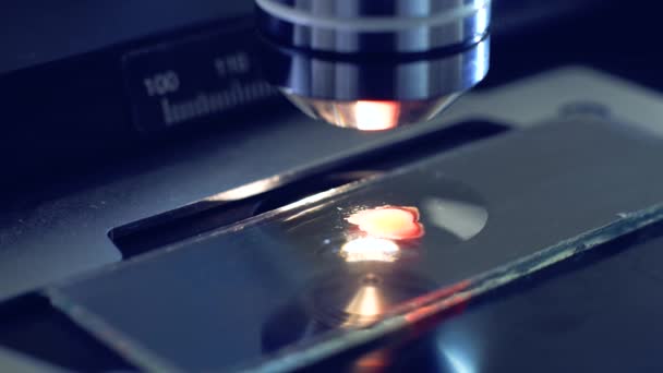 Close up of blood sample on a microscope glass — Stock Video