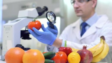 Meyve ve sebzeleri inceleyen ve böcek ilacı ve nitrat analizi yapan laboratuvar çalışanları..