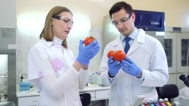Gyümölcsöket és zöldségeket vizsgáló, peszticideket és nitrátokat vizsgáló laboratóriumi dolgozók. — Stock videók