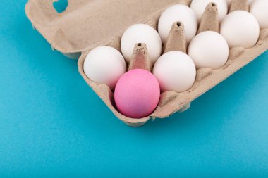 Yumurtalı tavuk yumurtası. Mavi arka planda beyaz yumurtaları olan açık gri bir kutunun üst görüntüsü. Farklı renkte bir yumurta, pembe bir yumurta. Odaklanma konsepti, dışlanma, herkes gibi değil, Lgbt