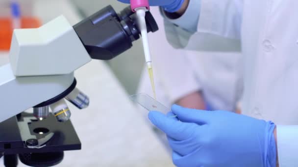 Cientista realiza pesquisa científica olhando através de microscópio em um laboratório médico. O líquido goteja na corrediça e é colocado sob o microscópio — Vídeo de Stock