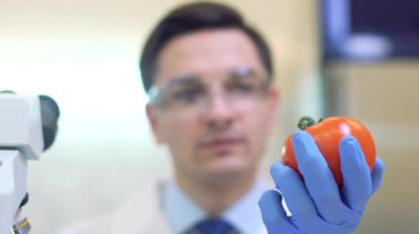 Meyve ve sebzeleri inceleyen ve böcek ilacı ve nitrat analizi yapan laboratuvar çalışanları..