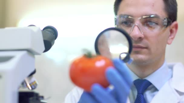 Εργαστηριακοί εργάτες που εξετάζουν φρούτα και λαχανικά και πραγματοποιούν αναλύσεις για φυτοφάρμακα και νιτρικά άλατα. — Αρχείο Βίντεο