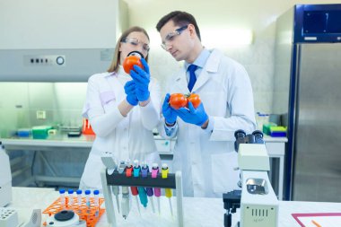 Meyve ve sebzeleri inceleyen ve böcek ilacı ve nitrat analizi yapan laboratuvar çalışanları..