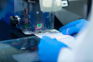 DNA laboratuarı. Uzman, insan DNA 'sını gelişmiş laboratuvar teknolojileri kullanarak veri tabanına yerleştirdi.