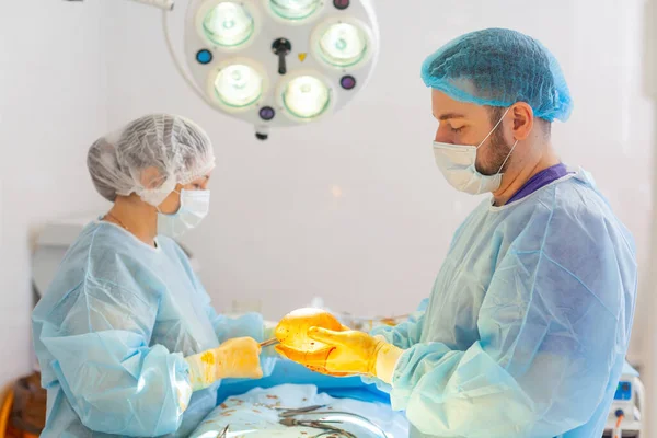 Al hospital. El cirujano opera en el quirófano. El médico y la enfermera desinfectan el implante antes de insertarlo durante la cirugía de aumento de senos. . —  Fotos de Stock