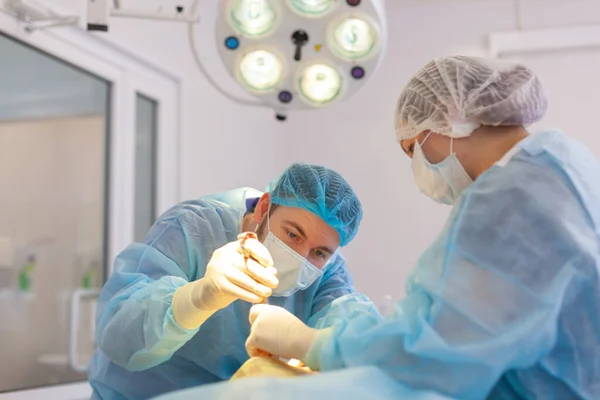 No hospital. O cirurgião opera na sala de operações. Preparações antes de inserir um implante num aumento da mama . — Fotografia de Stock