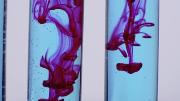 Ferme là. Le scientifique verse le réactif dans une éprouvette pour des essais de réaction en laboratoire chimique. Belle réaction du rouge se dissolvant en bleu 