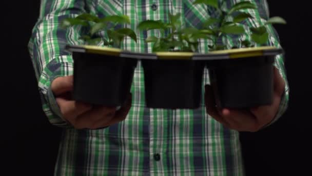Pessoa segura bandeja de iniciação de sementes com seis mudas, e depois a estende para a frente na frente dele — Vídeo de Stock