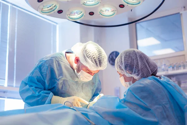 У операційній кімнаті працює група хірургів. Два лікарі проводять операцію на пацієнта — стокове фото