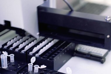 Bir grup bilim adamı bilimsel bir çalışma yürütüyor.