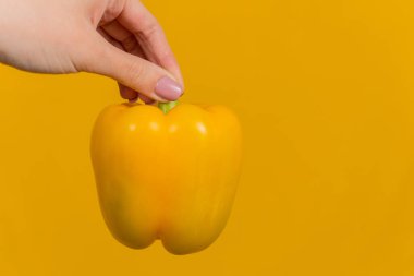 Sarı arka planda sarı dolma biber. Yakın plan.