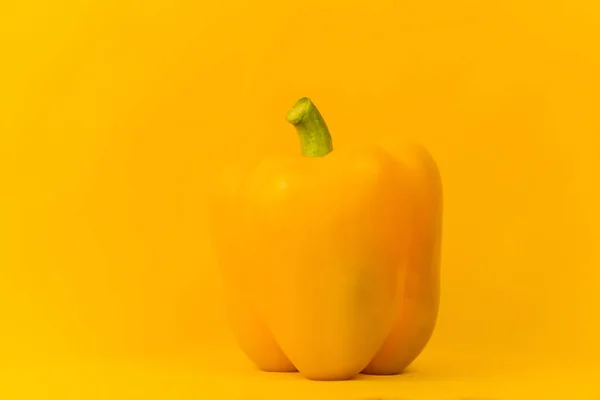 Yellow bell pepper on a yellow background. Close-up