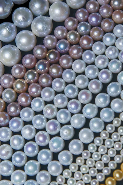 Pearls wires aligned — Stock Photo, Image