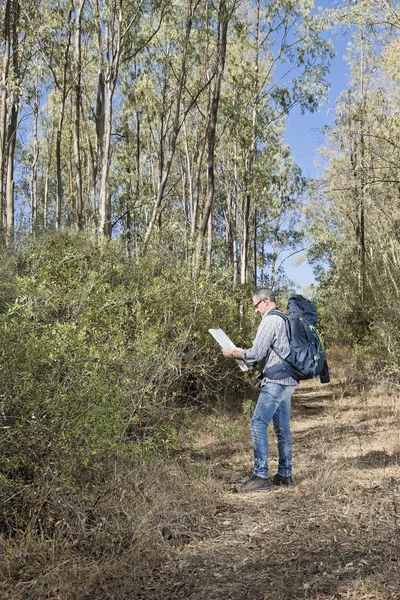 Caminhante na floresta — Fotografia de Stock