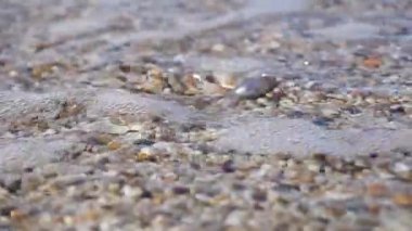 Tahiti gray sahilde inci ve itti dalga deniz tarafından.