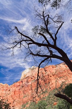 Devlet Utah kanyonlarda