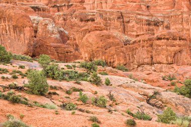 Arches national Park kayalar
