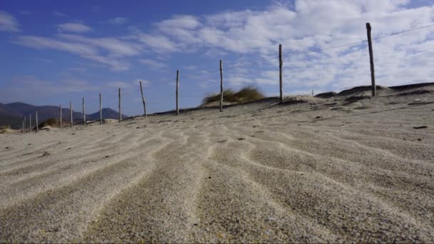 砂の砂丘と青い空 春の砂のサルデーニャ島南西部の砂丘と青い空 — ストック動画