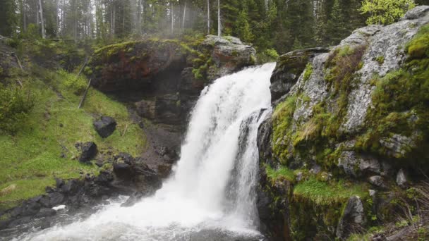 Moose Falls Yellowstone National Park Small Waterfall Southern Park Gates — Stock Video