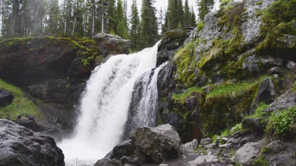 Moose Falls Yellowstone National Park Small Waterfall Southern Park Gates — Stock Video