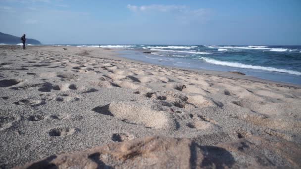 犬は遊んでビーチに沿って実行されます 背景には漁師 サルデーニャ南西 — ストック動画