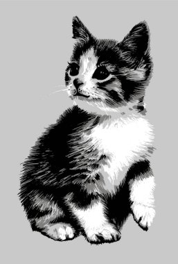 Gri arka planda şirin, tatlı kedi çizilmiş kedi yavrusu vektör çizimi