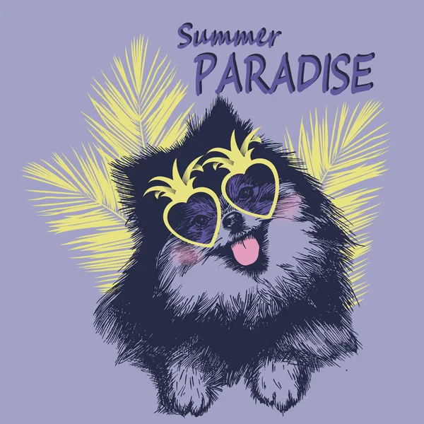 Chien Spitz Poméranien Chiot Main Dessiné Avec Des Lunettes Soleil — Image vectorielle