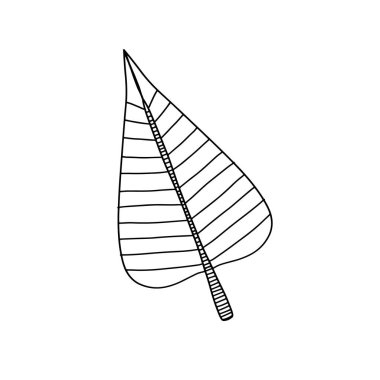 Doodle tarzı tropikal yaprak. Soyut orman. Ağaç süsleme. Vektör, botanik koleksiyonu. Orman yaprakları çizimi. Renkli arka plan. Yaz kartı tasarımı.