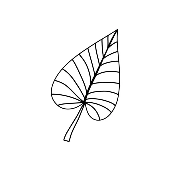 Doodle-Stil tropisches Blatt im Doodle-Stil. Abstrakter Dschungel. Baumschmuck. Vektor, botanische Sammlung. Dschungel-Illustration. Farbhintergrund. Sommerkartendesign. — Stockvektor