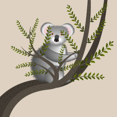 Cartoon illustration with cute koala on tree. Cute funny cartoon character. Australian animal.