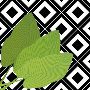 Geometrik siyah ve beyaz arka plan üzerine çizilmiş renkli muz yaprağı desenli modaya uygun el çizimi. Tropik yapraklar, orman deseni. Karalama, çiçek botanik seti. Şirin vektör illüstrasyonu.