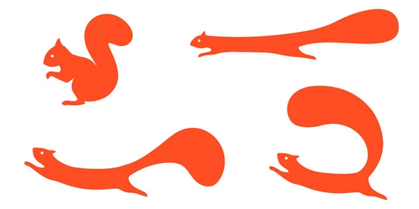 Set Squirrels Different Poses Sits Runs Jumps Vector Illustration — Stock Vector