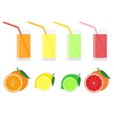 Portakal, limon, limon, greyfurt. Meyve kompozisyonu. İzole vektör illüstrasyonu.