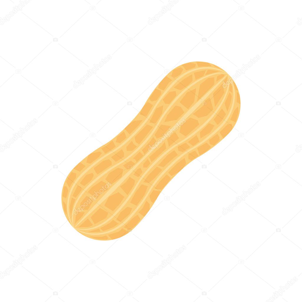 Peanut. Isolated vector Illustration.